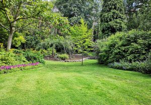 Optimiser l'expérience du jardin à Fontenermont